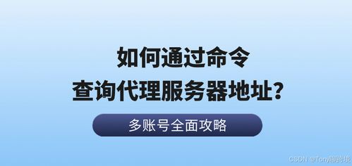 如何通过命令查询代理服务器地址 以票务代理服务为例